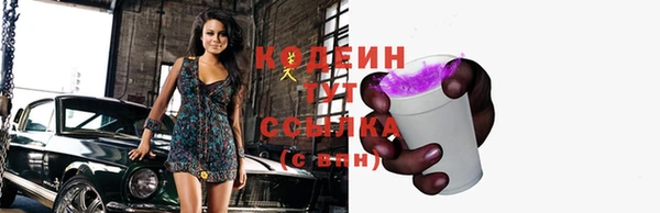 дмт Надым