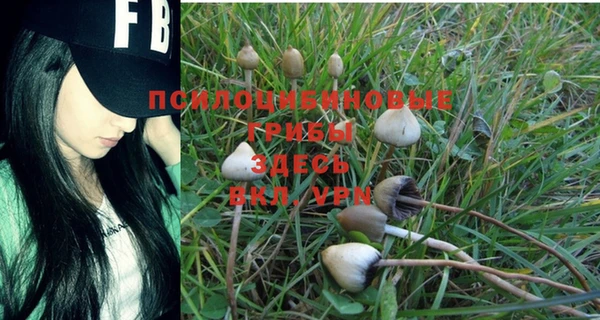 Альфа ПВП Вуктыл